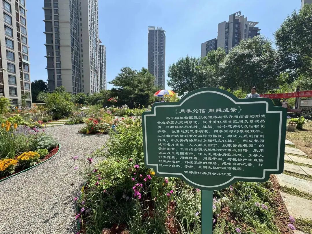 呀,真好看!@北京市民,您家门口有这种“微花园”了吗? 呀,真好看!@北京市民,您家门口有这种“微花园”了吗?