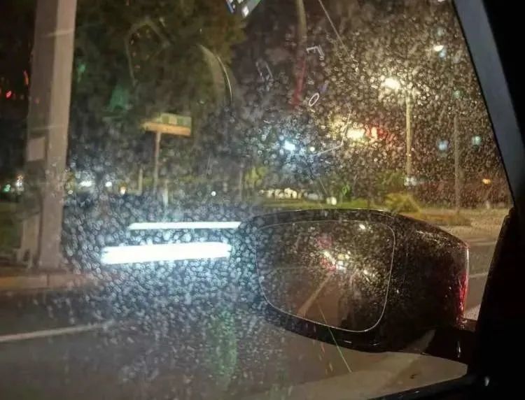 上海街头这些不明粘液是啥?很多人都踩到了 上海街头这些不明粘液是啥?很多人都踩到了