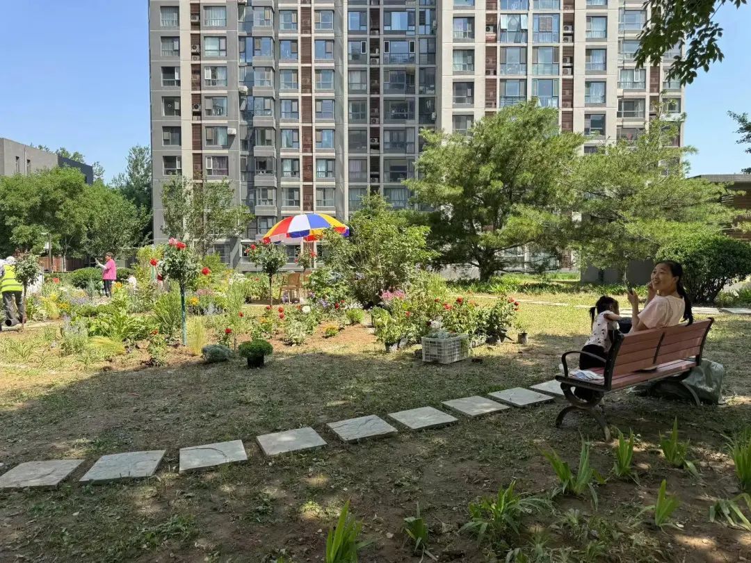 呀,真好看!@北京市民,您家门口有这种“微花园”了吗? 呀,真好看!@北京市民,您家门口有这种“微花园”了吗?