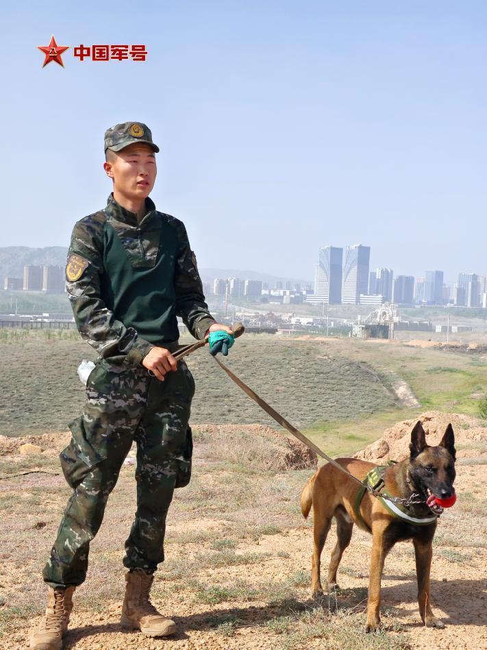 为国出征，“黄金搭档”简历大揭秘