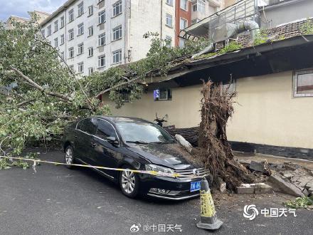 北京大部现8至10级短时大风 疾风骤雨后街头“凌乱” 北京大部现8至10级短时大风 疾风骤雨后街头“凌乱”