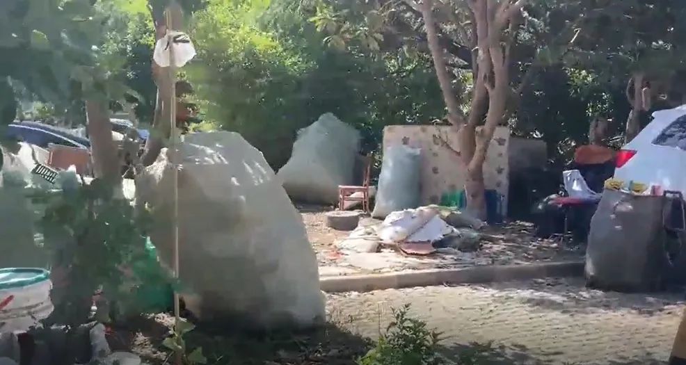 毁绿种菜、浇粪施肥、搭违建、飞线充电……这个小区问题数不完，管理“躺平”？