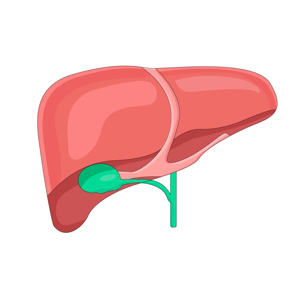 极度乏力、厌食、呕吐、腹胀…这些肝衰竭的症状你了解吗→
