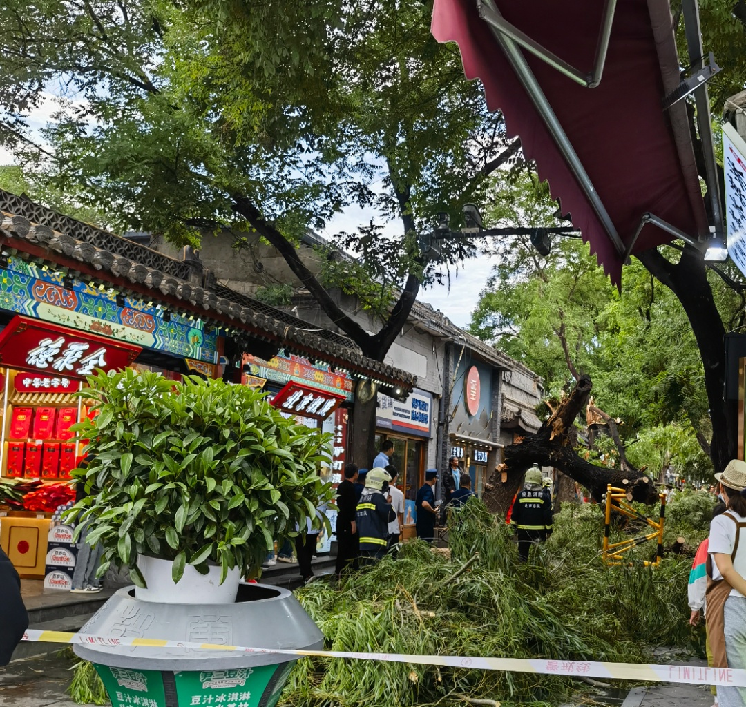 北京遭遇狂风，暴雨，冰雹！多处树木被刮倒，部分地铁延误，今日晚高峰交通压力大！