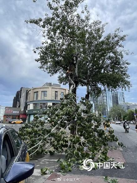 北京大部现8至10级短时大风 疾风骤雨后街头“凌乱” 北京大部现8至10级短时大风 疾风骤雨后街头“凌乱”