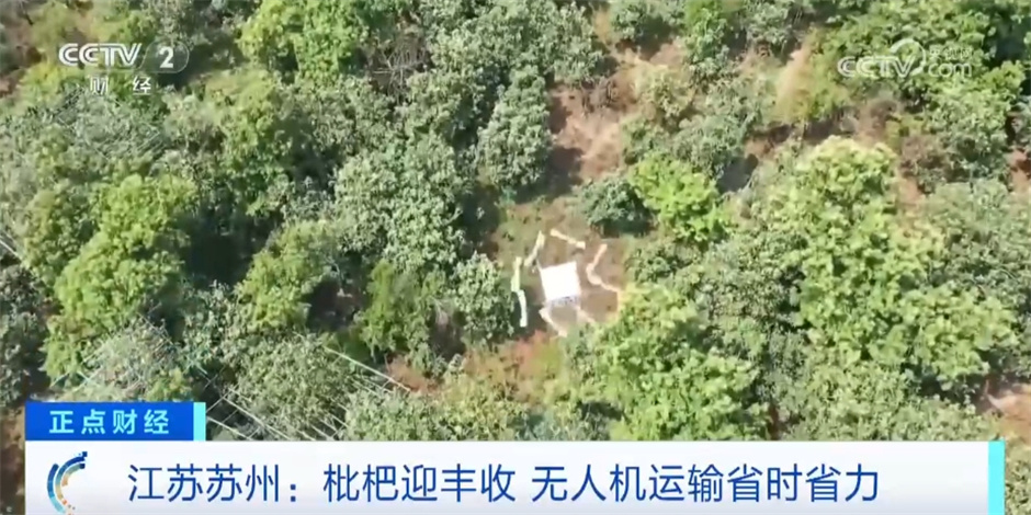 希望的田野上“丰收画卷”徐徐铺展 展现中国高质量发展行稳致远