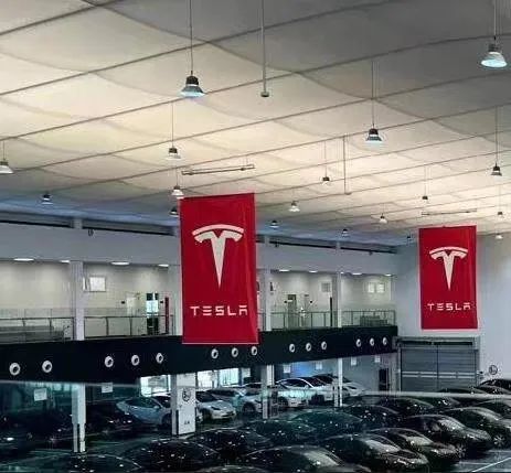 特斯拉“车顶女”被判道歉，赔偿17万元