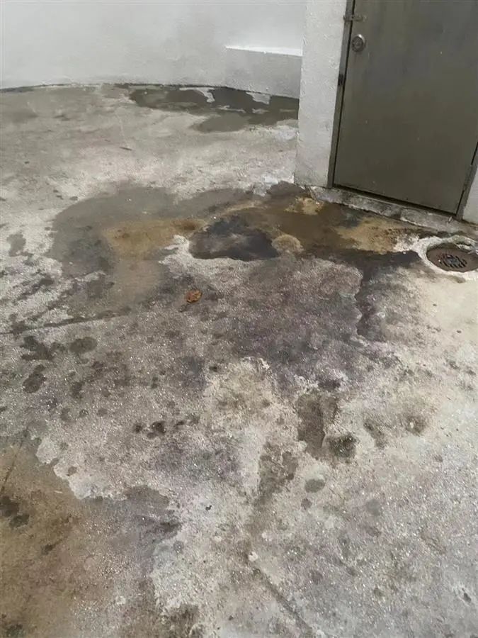 “20岁女生蹊跷坠亡”，生前曾向好友透露这些细节……