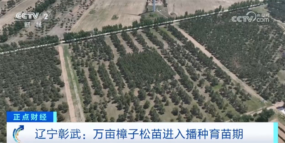 希望的田野上“丰收画卷”徐徐铺展 展现中国高质量发展行稳致远