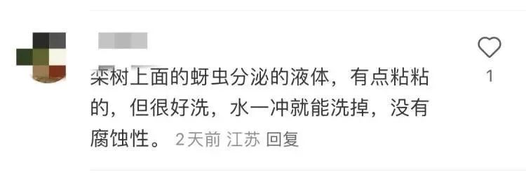 近期上海街头频现！很多人都踩到了，根本擦不干净...不明粘液究竟是什么？