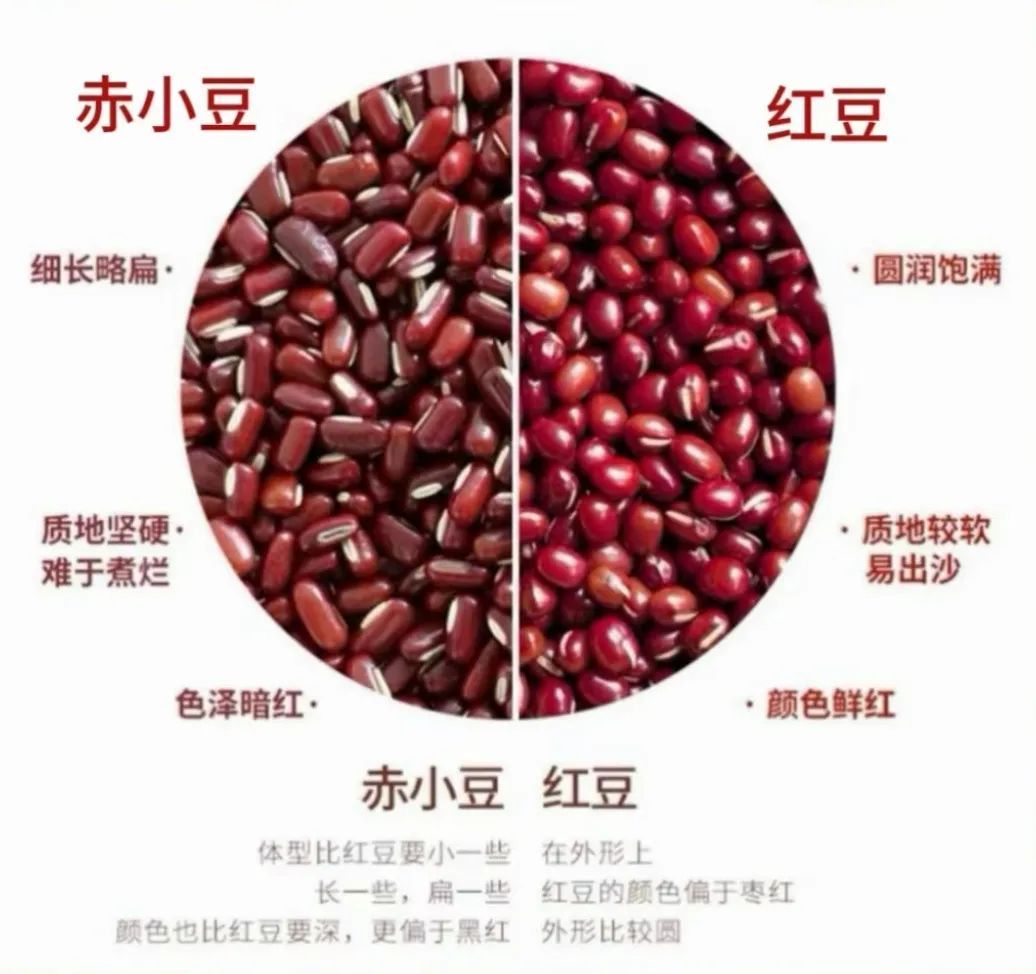 小知识 | 网红“红豆薏米水”排湿气效果好吗？