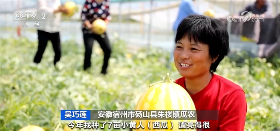 希望的田野上“丰收画卷”徐徐铺展 展现中国高质量发展行稳致远