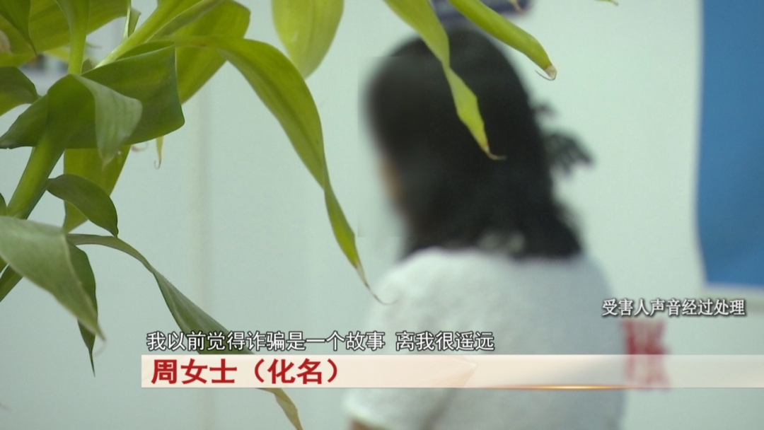 合肥周女士：以为是爱情，没想到是案情……