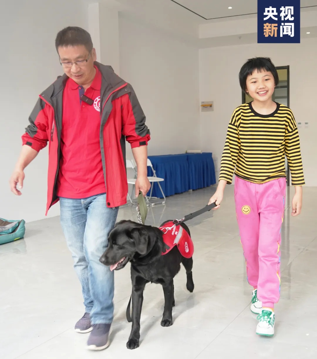 哈利、伊莉、哈雷，解锁新任务！