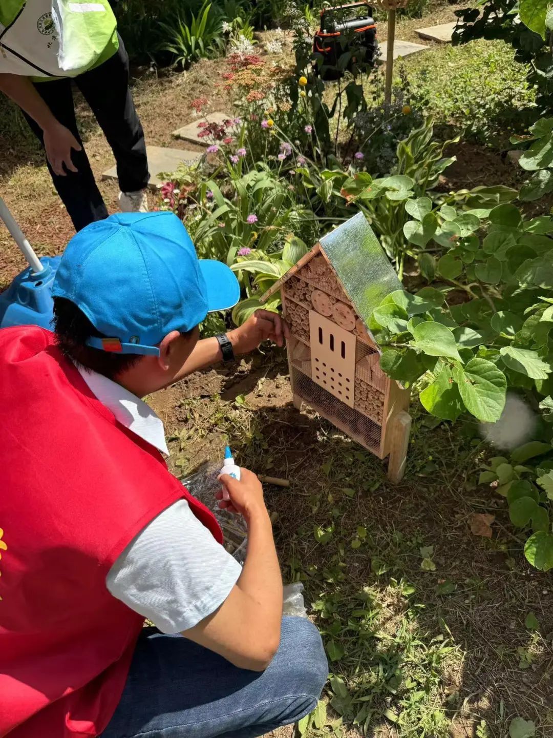 呀,真好看!@北京市民,您家门口有这种“微花园”了吗? 呀,真好看!@北京市民,您家门口有这种“微花园”了吗?
