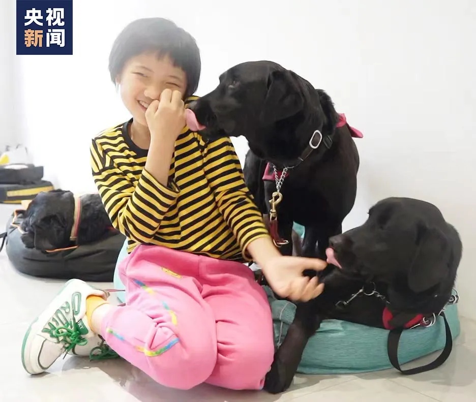 哈利、伊莉、哈雷，解锁新任务！