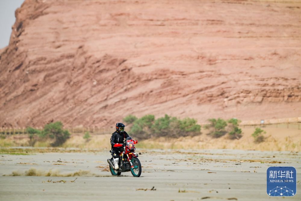 赛车 | 2024年环塔拉力赛第七赛段赛况