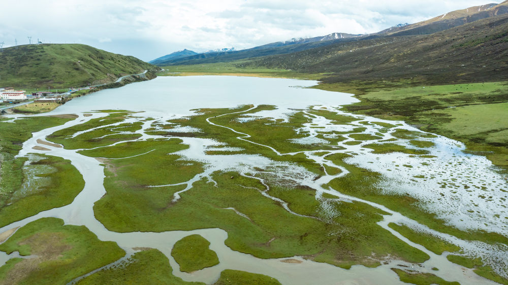 珍稀鸟类的乐园 探秘四川珠姆省级湿地公园