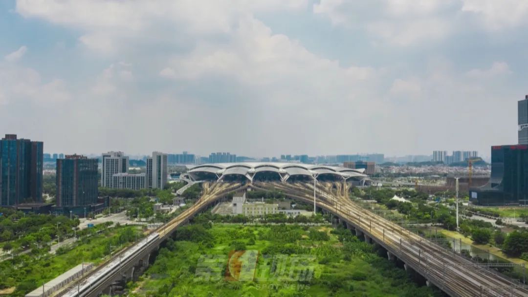 这一跪太帅了！一男子突发心脏病，深圳女医生跪地救助