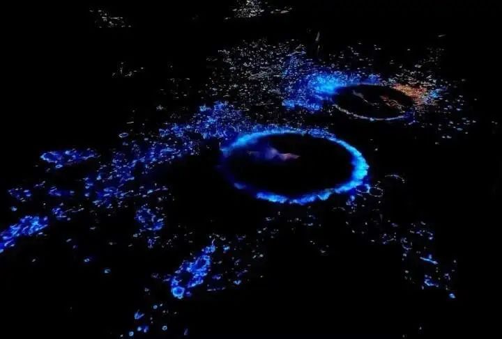 繁星入海！温州多地现“蓝眼泪”景观！