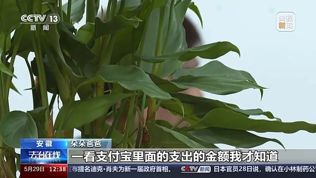 10岁的朵朵是怎么被骗走一万元的? 10岁的朵朵是怎么被骗走一万元的?