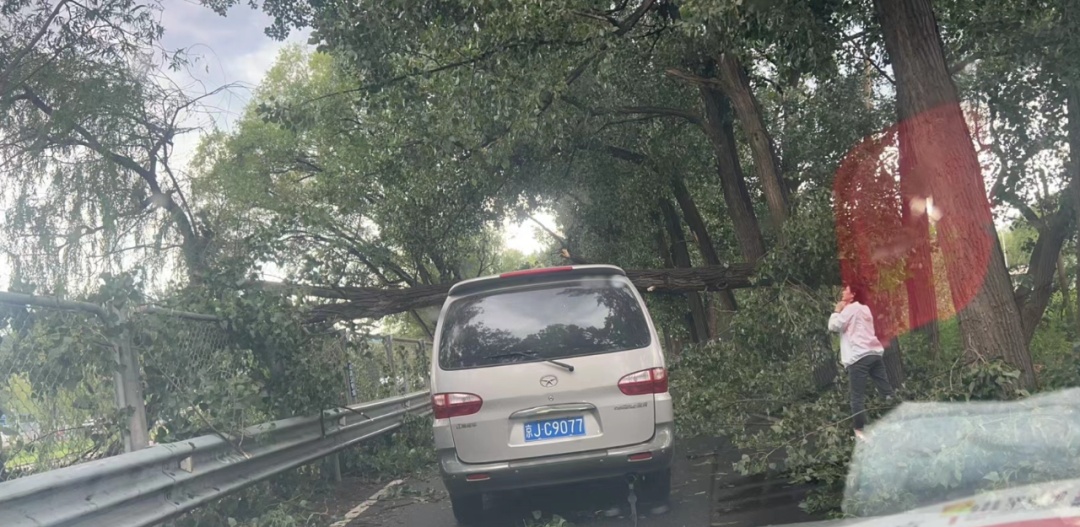 北京遭遇狂风，暴雨，冰雹！多处树木被刮倒，部分地铁延误，今日晚高峰交通压力大！