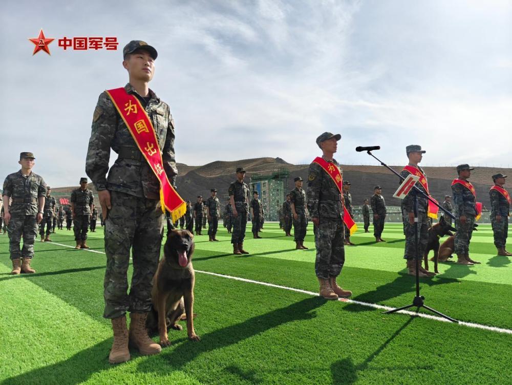 为国出征，“黄金搭档”简历大揭秘