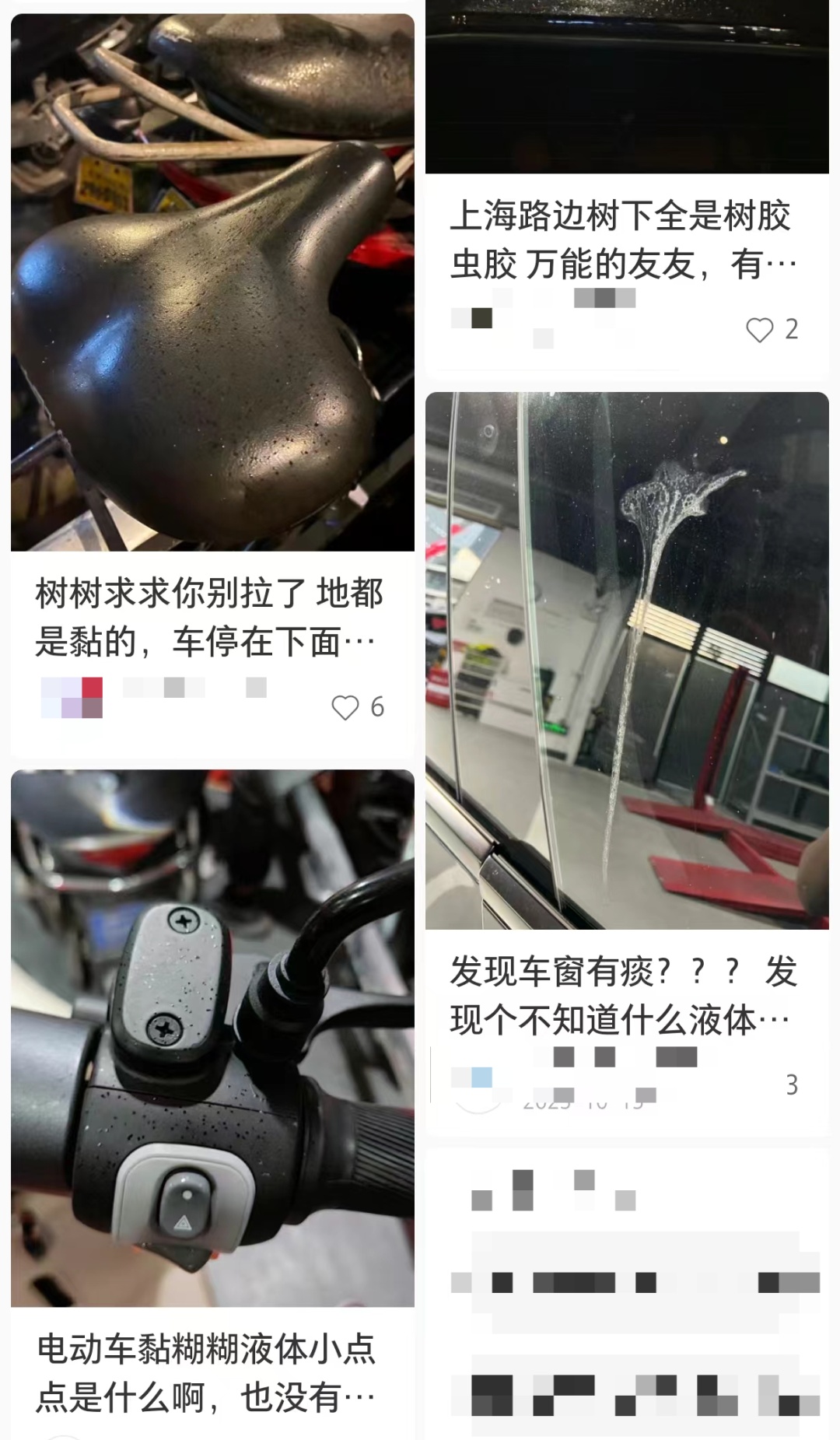 近期上海街头频现！单车汽车“黏答答”，走路鞋也会黏住……不明粘液究竟是啥？