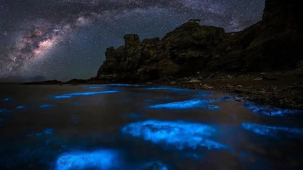 繁星入海！温州多地现“蓝眼泪”景观！