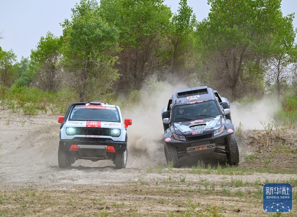 赛车 | 2024年环塔拉力赛第七赛段赛况