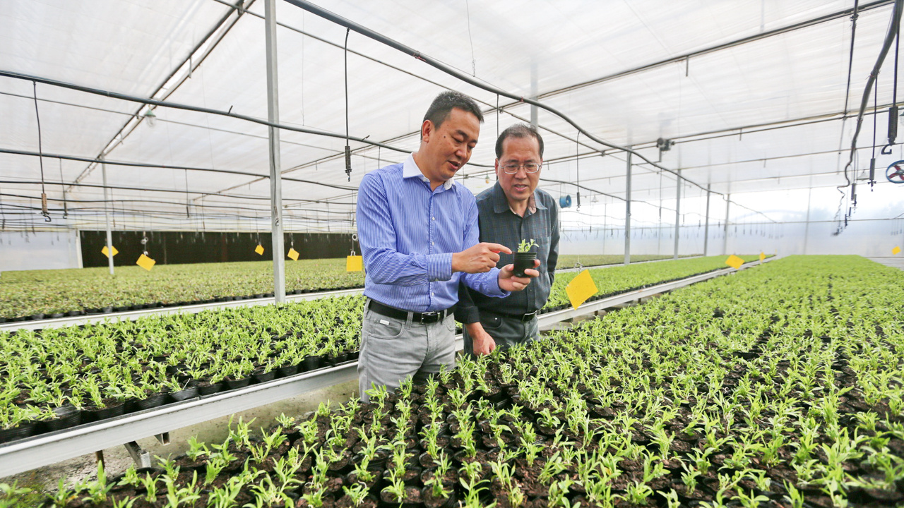 福建连城:念好“硒”经 精烹“硒”餐 福建连城:念好“硒”经 精烹“硒”餐