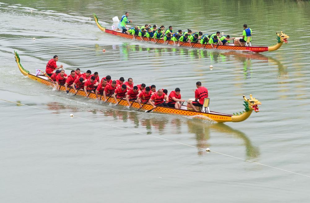 赛龙舟 迎端午