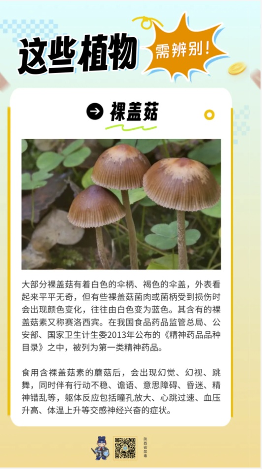 这些饮料有“毒”！别喝！ 别喝！别喝！→