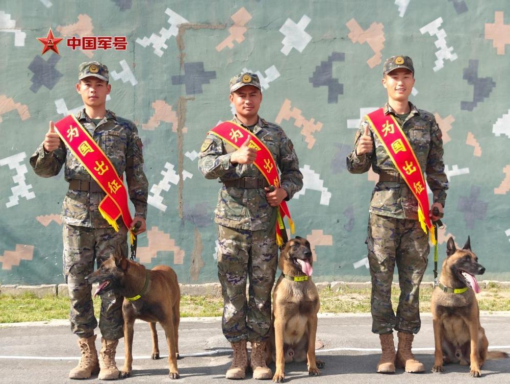 为国出征，“黄金搭档”简历大揭秘