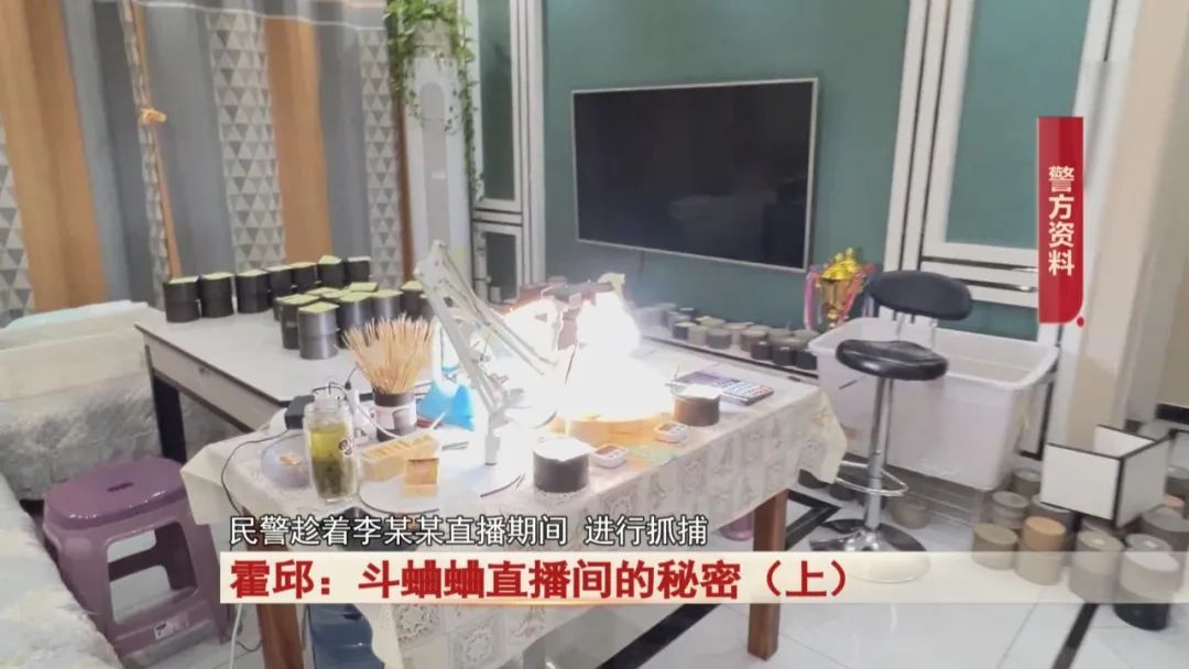 直播间里斗蛐蛐，背后竟隐藏着这个秘密...警方出动！