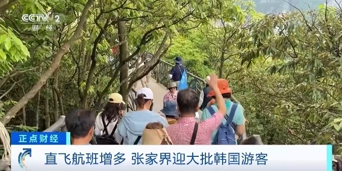 出入境人次飙升超280%！韩国游客爱上张家界！直飞航班增多