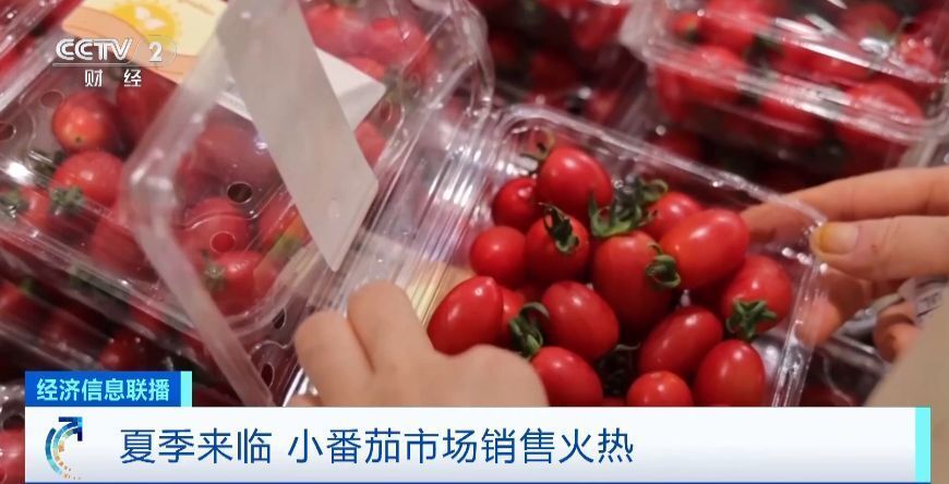 红橙黄绿白！七彩番茄成网红爆款！一斤最高20多元！你吃过吗？