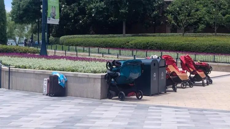 想想就肉疼！存一个收费80元？有人直接扔路边了…