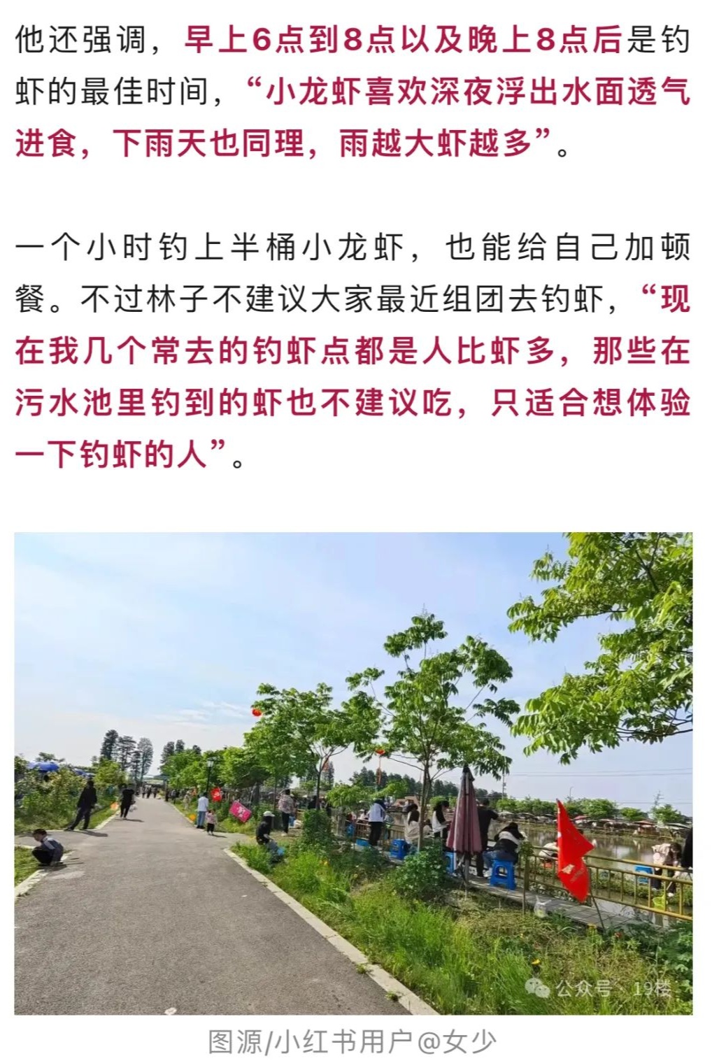 杭州人疯狂扎堆，有人驱车三小时，一站一坐就是半天！今年换玩法了...