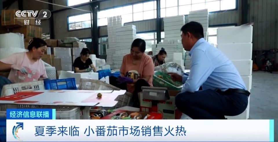 红橙黄绿白！七彩番茄成网红爆款！一斤最高20多元！你吃过吗？