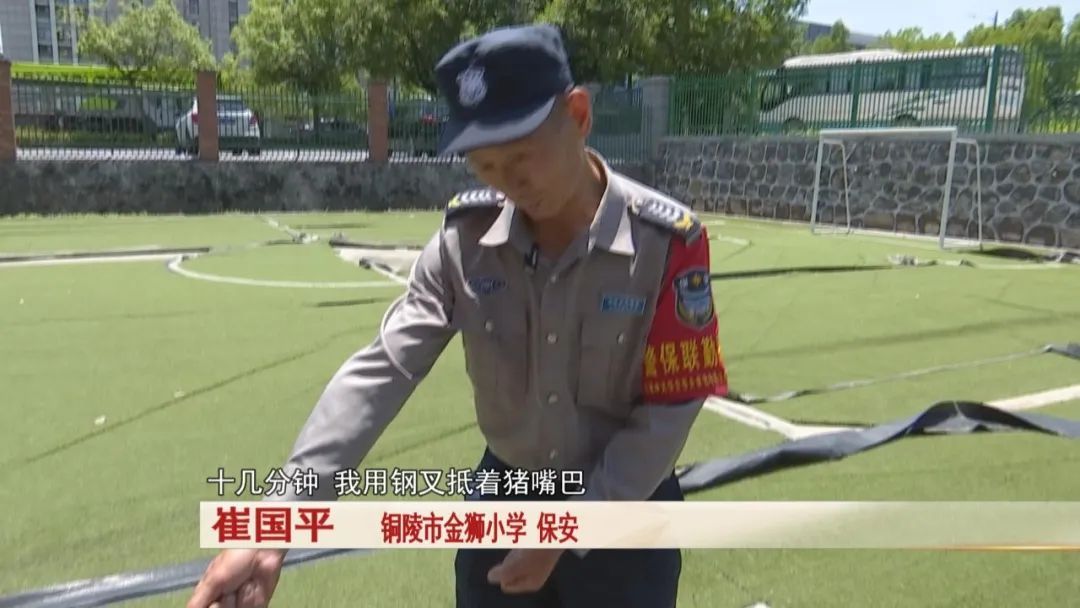 一头野猪突然跑进校园,关键时刻,校园里一名保安及时出手! 一头野猪突然跑进校园,关键时刻,校园里一名保安及时出手!