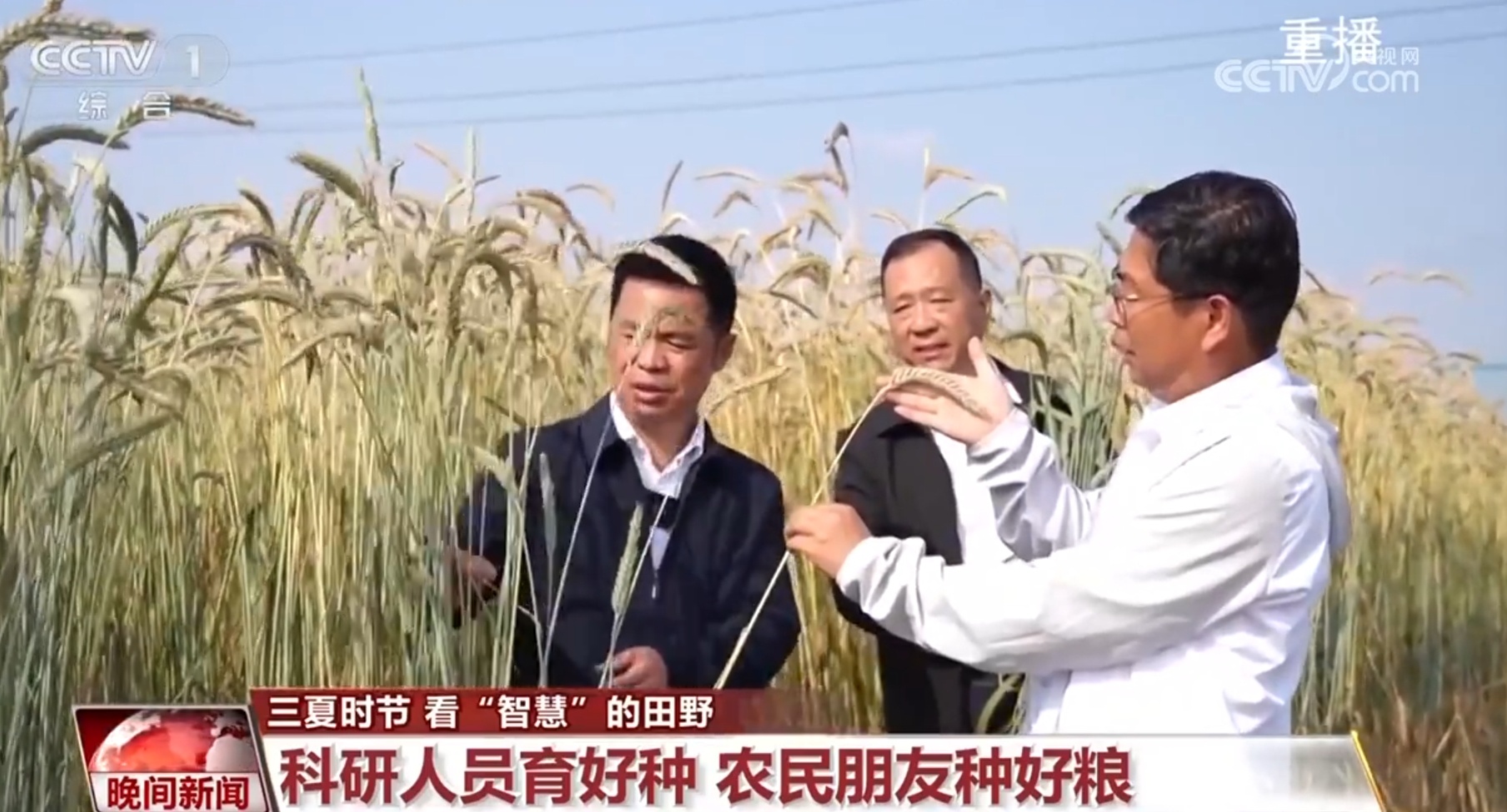 三夏时节涌现更多“科技范儿” “智慧”让中国人的饭碗端得更稳 三夏时节涌现更多“科技范儿” “智慧”让中国人的饭碗端得更稳