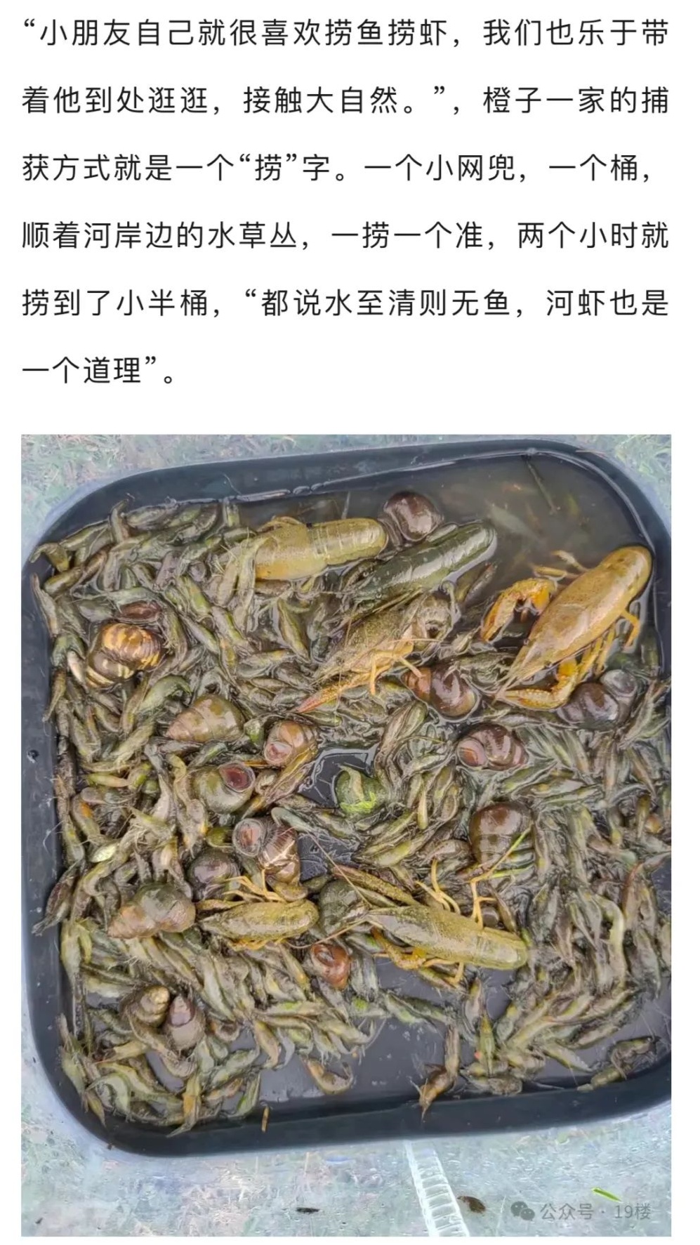 杭州人疯狂扎堆，有人驱车三小时，一站一坐就是半天！今年换玩法了...