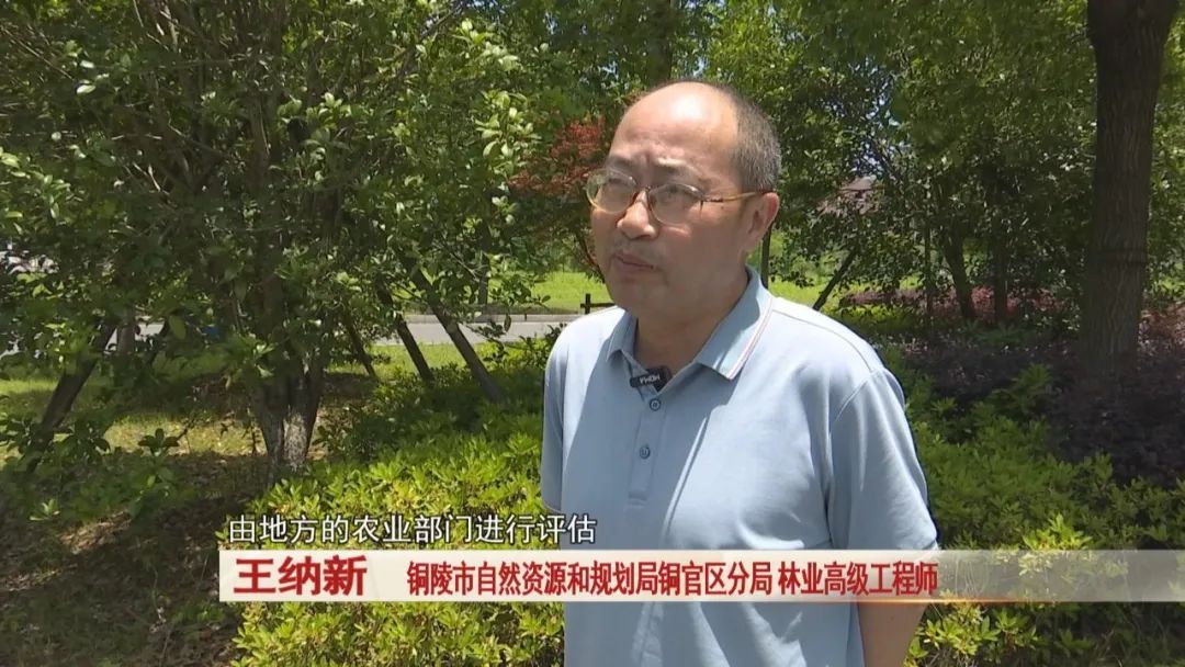 一头野猪突然跑进校园,关键时刻,校园里一名保安及时出手! 一头野猪突然跑进校园,关键时刻,校园里一名保安及时出手!