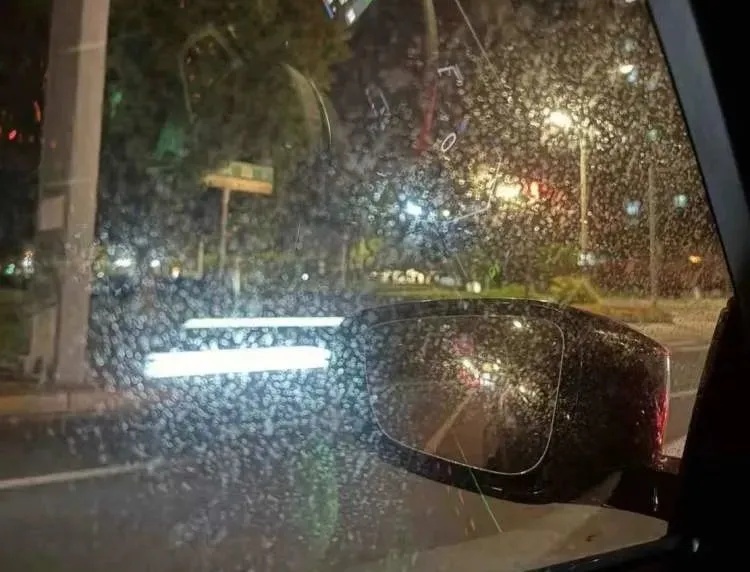 街头这些不明粘液是什么？很多人都踩到了......