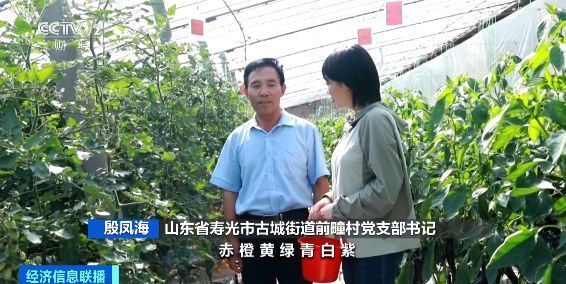 红橙黄绿白！七彩番茄成网红爆款！一斤最高20多元！你吃过吗？