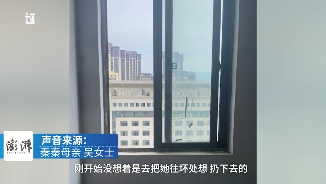 谭某某（女，13岁，智力障碍人员）将秦某（女，2岁）推下17楼