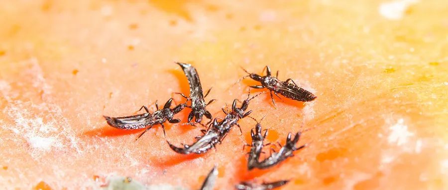 赶紧收手,千万别碰!杭州多地出现!很多人吃尽苦头,后果很严重... 赶紧收手,千万别碰!杭州多地出现!很多人吃尽苦头,后果很严重...