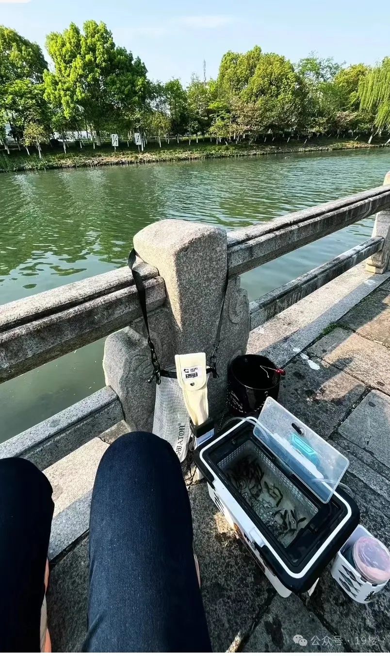 杭州人疯狂扎堆，有人驱车三小时，一站一坐就是半天！今年换玩法了...