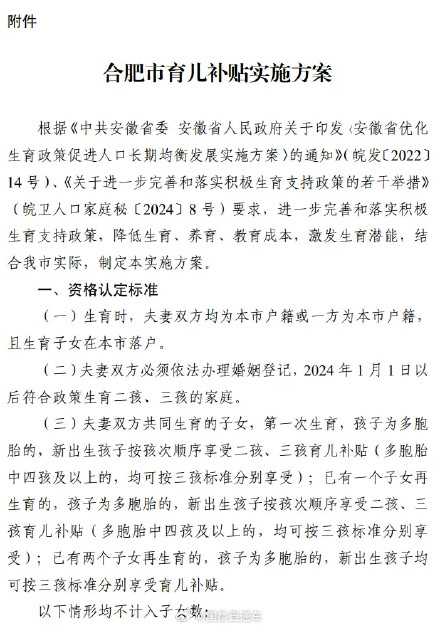 合肥对二孩三孩家庭给予一次性补贴 合肥对二孩三孩家庭给予一次性补贴